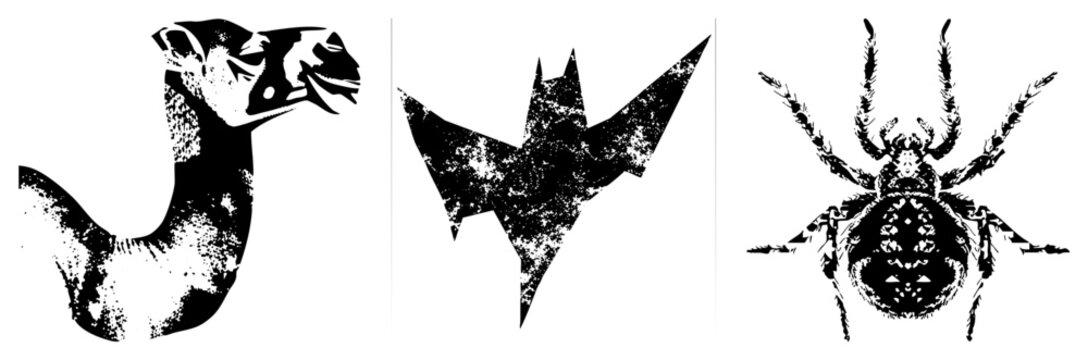 Graphic vector of a coiled snake, flying bat, and detailed spider, rendered in high contrast halftone style with distressed texture. Perfect for dark or horror themed design.