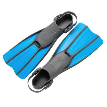 Blue and gray diving fins