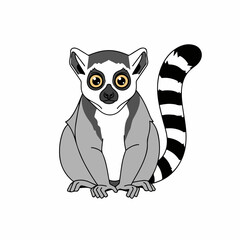 illustration of a big-eyed lemur from Madagascar on a white background