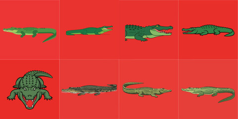 illustration of estuarine crocodile on red background