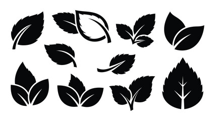 A collection of various leaf shapes and sizes in a black and white illustration isolated on white background, Vector © SILHUETTECHEMBER