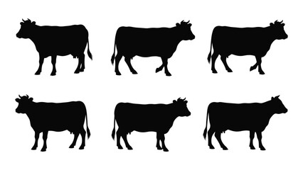 Six black silhouettes of cows in various poses on a white background isolated on white background, Vector