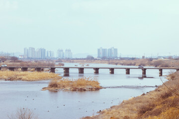 경산시 하양읍 시가지와 금호강