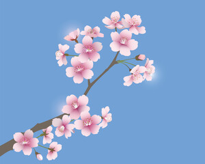 桜の花（ライトブルー背景）