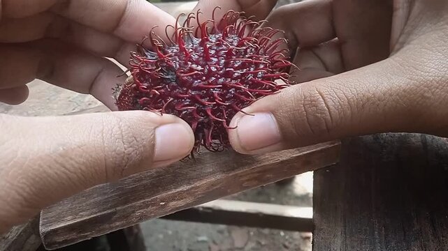 How to peel rambutan fruit