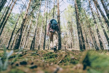 Hiking in the forest 