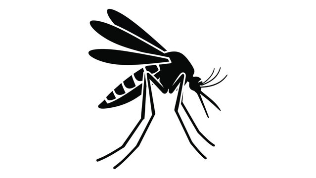 Close-up of a mosquito with detailed body parts and wings isolated on white background, Vector