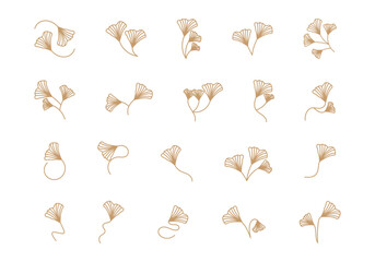 Floral Ginkgo Leaf Element Set