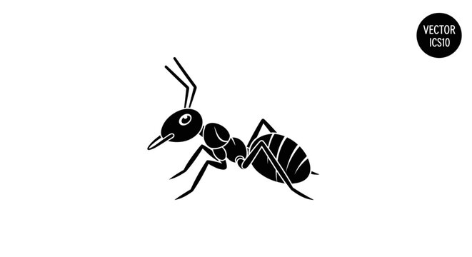 Black and White Ant Illustration Closeup.