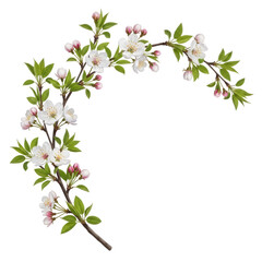 A delicate floral arrangement with white flowers and green leaves isolated on transparent background