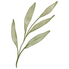 Fototapeta premium Watercolor Green Leaf Branch
