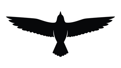 A silhouette of a bird in flight with its wings spread wide open. isolated on white background, Vector © SILHUETTECHEMBER