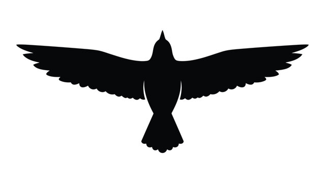 A silhouette of a bird in flight with its wings spread wide open. isolated on white background, Vector