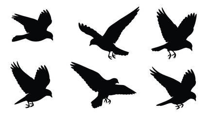 Obraz premium Six black silhouettes of birds in flight against a white background isolated on white background, Vector
