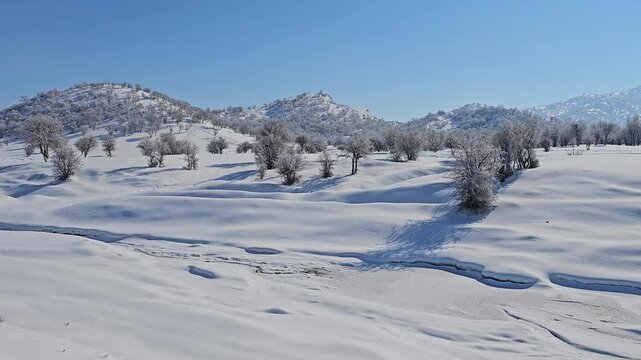 Wide winter landscape with snow-covered hills, frosted trees, a small snowy stream, and distant mountains under a clear blue sky, reflecting calm untouched nature.  
📍Marivan, Kurdistan 