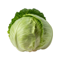 Fototapeta premium Fresh green cabbage head close up isolated on transparent background