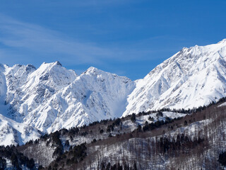 冬景色　冠雪の北アルプス　長野県白馬村 © RATM