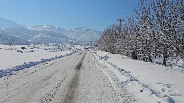 Snow-covered rural road with leafless frosted trees, open snowy fields, and distant mountains under a clear blue sky on a bright winter day.  
📍Marivan, Kurdistan 