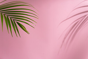 Green palm leaf casting a shadow on a vibrant pink background © panadesignteam
