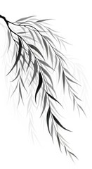 Obraz premium Graceful hanging foliage rendered in a dramatic monochromatic brushwork style.