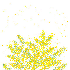 満開の明るい黄色のミモザの背景フレーム素材