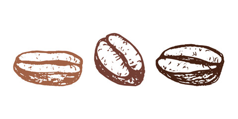 Fototapeta premium Set of hand drawn fresh roasted coffee bean Arabica robusta seed doodle Single element for design print packaging label decor
