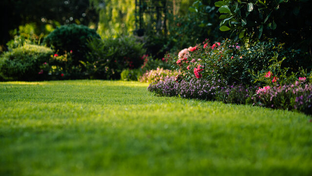 Spring garden landscape with green grass and blooming flowers.