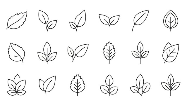 Collection of various leaf line drawings.