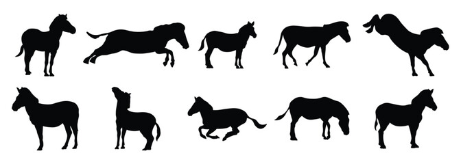 zebras silhouette vector illustration set © Pksvc