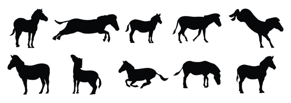 zebras silhouette vector illustration set