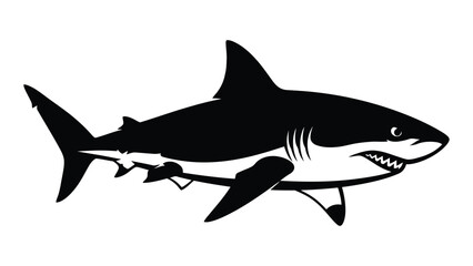 Obraz premium A detailed illustration of a great white shark swimming underwater isolated on white background, Vector