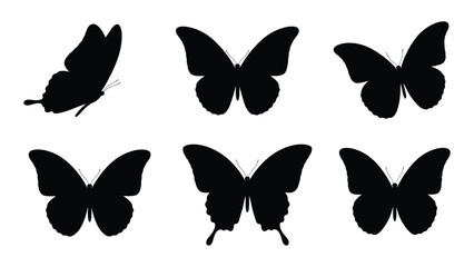 A collection of six distinct butterfly silhouettes in black against a white background isolated on white background, Vector © SILHUETTECHEMBER