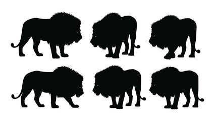 Eight silhouettes of lions in various poses and positions isolated on white background, Vector © SILHUETTECHEMBER
