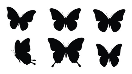 Six black butterfly silhouettes in various poses and orientations isolated on white background, Vector © SILHUETTECHEMBER