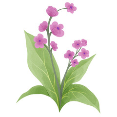 Fototapeta premium Watercolor Floral Flower Nature Romantic Plant Leaves Botanical Wildflower Wedding Spring Garden Blossom Illustration Decoration