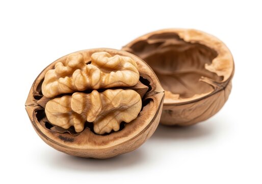 Intact shelled nut displays its characteristic textured kernel beside its empty half shell.