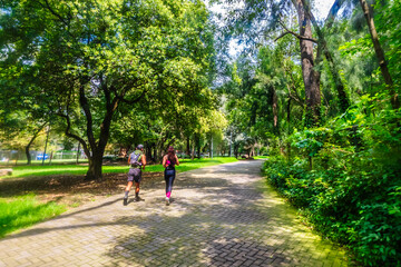 Fototapeta premium A man and woman couple running through a forest, in the Capultepec forest in Mexico City