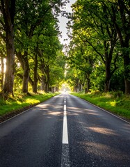 Long asphalt road flanked by tall trees with sunlight peeking through
