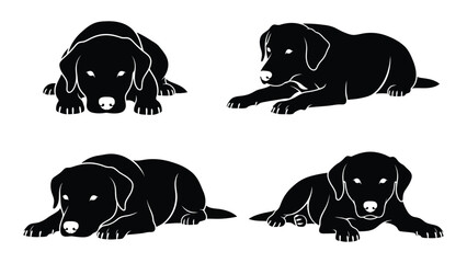 Four black dogs lying down in a row, each in a different position. isolated on white background, Vector © SILHUETTECHEMBER
