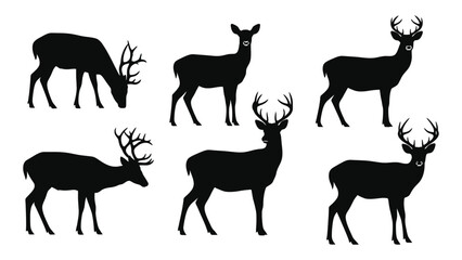 Fototapeta premium A group of deer silhouettes in various poses against a white background isolated on white background, Vector
