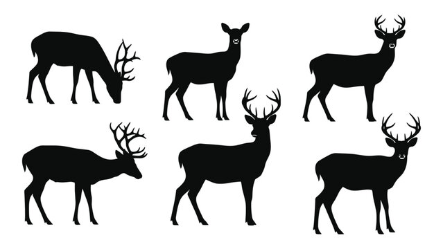 A group of deer silhouettes in various poses against a white background isolated on white background, Vector
