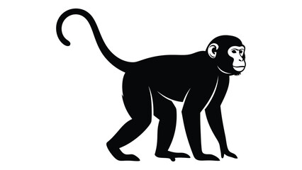 A black silhouette of a monkey walking on all fours. isolated on white background, Vector © SILHUETTECHEMBER