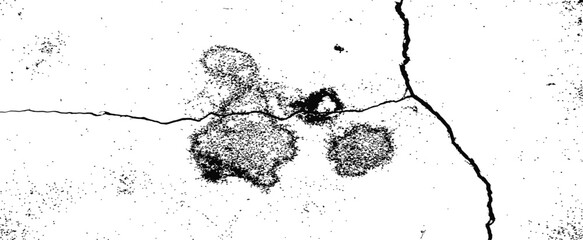 Black and white vector grunge texture with cracked wall and distressed dust spots overlay