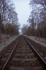 Obraz premium Straight, tree-lined railway tracks lead through a misty winter landscape; hike through the Hopener Forest in 49393 Lohne, Vechta district, Germany