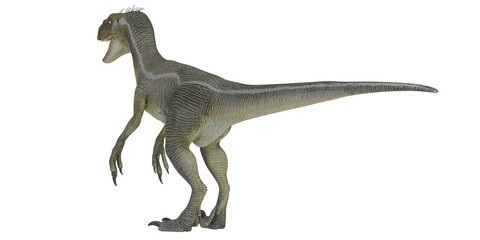 Realistic dinosaur model on white background © Ilie
