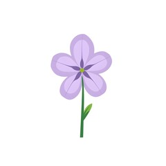 Fototapeta premium violet flower isolated on white