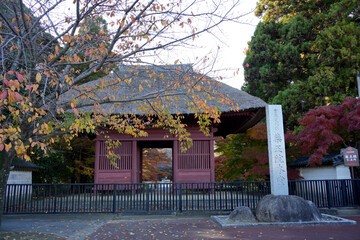 薬王院　仁王門