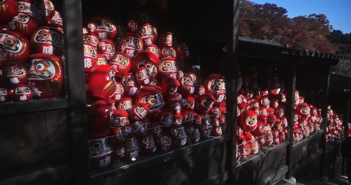 Slow motion shot in on cluster of Daruma dolls at dawn