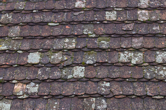 Weathered Mossy Roof Tiles With Lichen in Rustic Shingle Pattern on an Old Building Exterior