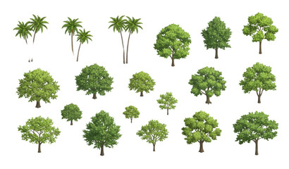 Title 2 Realistic isometric palm and deciduous tree collection with dimensional foliage and soft shadows for architectural rendering © MdAtaur